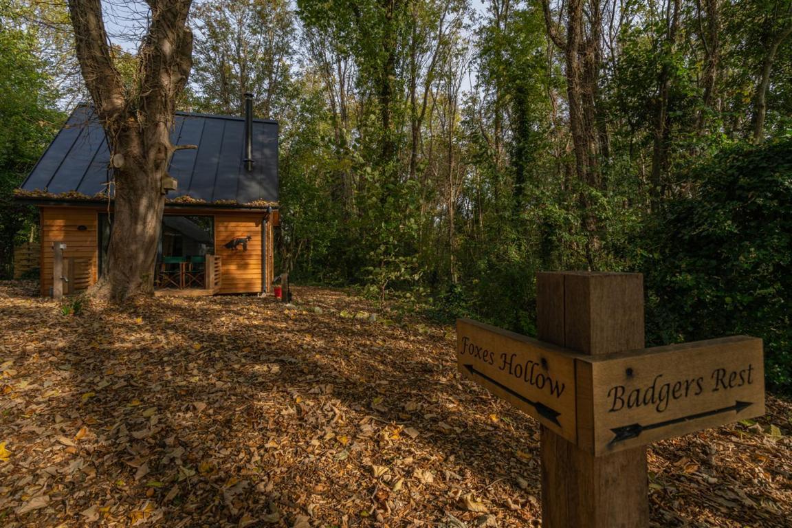 Badgers Rest With Hot Tub Option - See Extras Rye Dış mekan fotoğraf