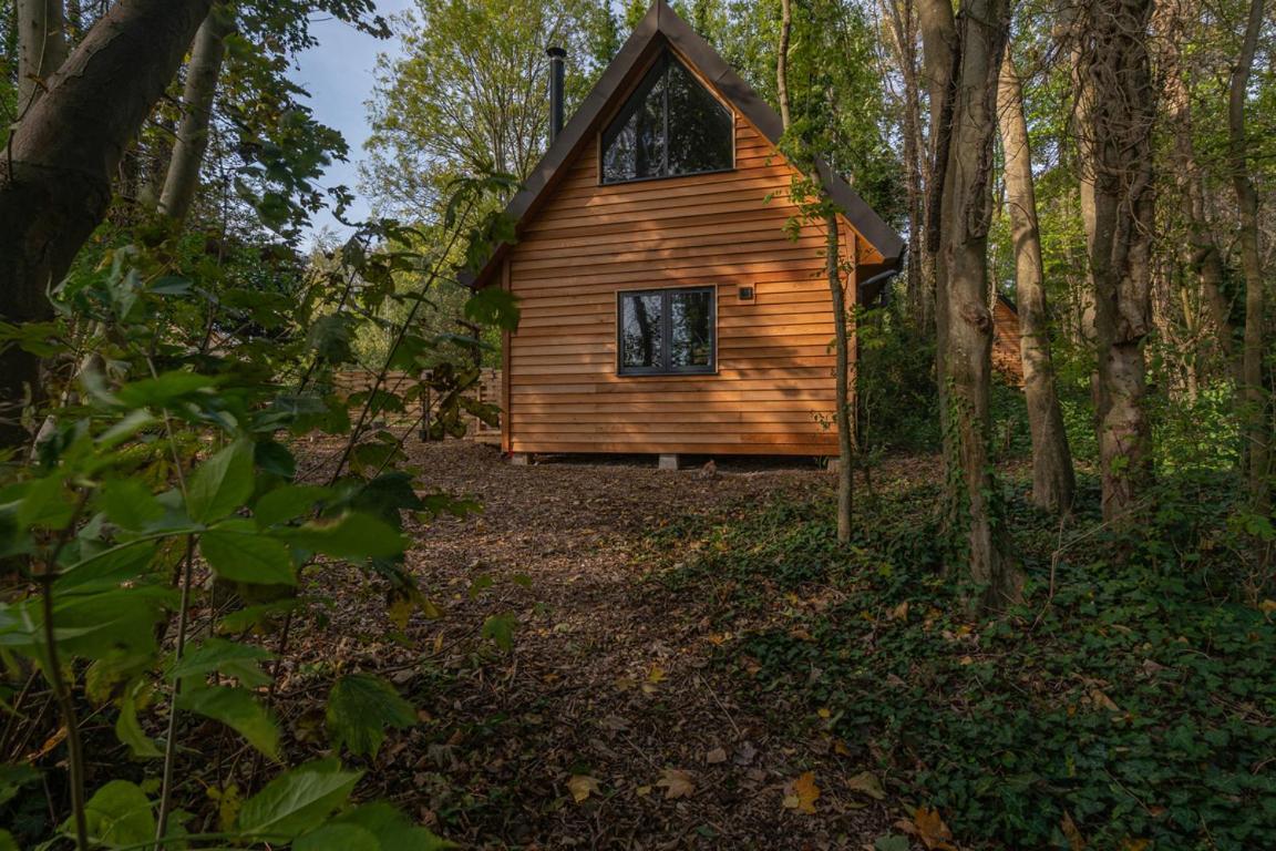 Badgers Rest With Hot Tub Option - See Extras Rye Dış mekan fotoğraf